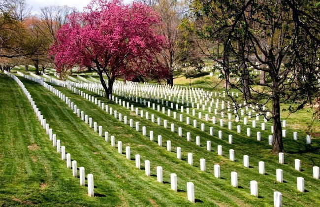 Washington D.C. Day Trip - Photo 4