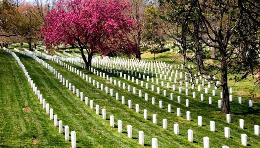 Arlington Cemetery & DC War Memorials Tour - Photo 1