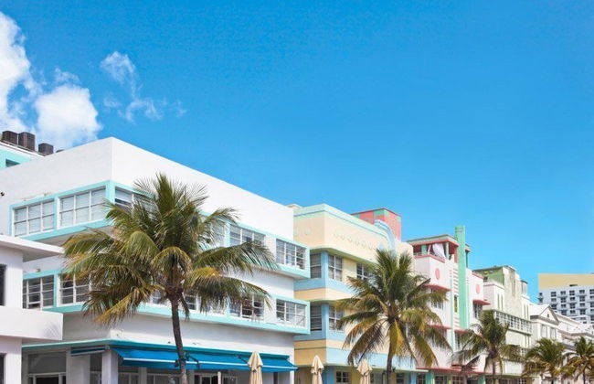 Miami & Everglades Tour - Photo 2