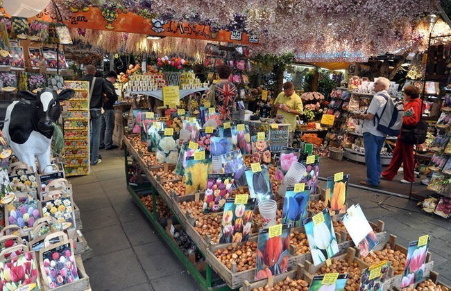 Excursão a Amsterdam + Passeio de barco - Foto 6