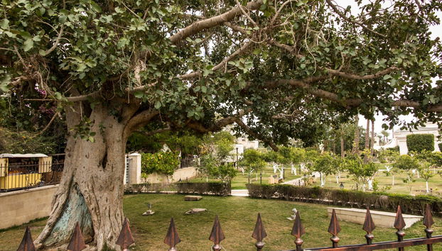 Day Trip to Jericho - Foto 5