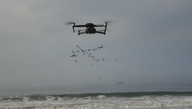Pesca en el sur de Lima - Foto 5