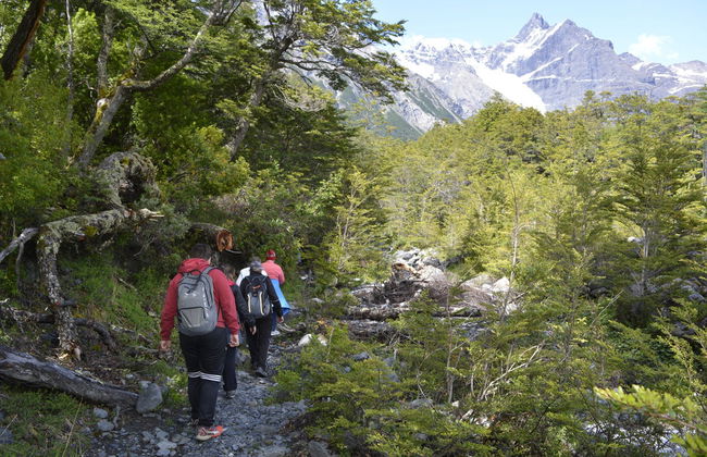 Lake Argentino Cruise - Photo 6
