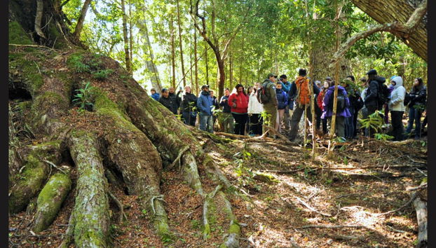 Paseo en barco por el Lago Argentino - Foto 3