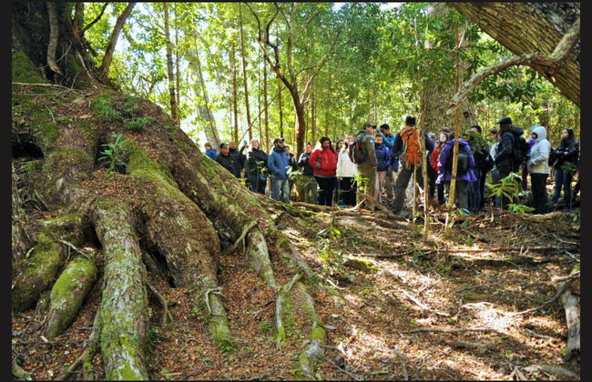 Paseo en barco por el Lago Argentino - Foto 3