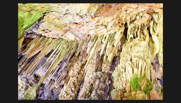 Day Trip to Gibraltar - Foto 2