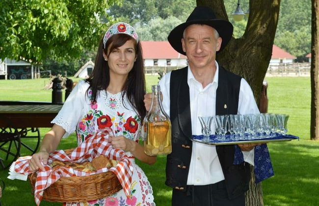 Excursion à la Puszta et spectacle équestre - Photo 1