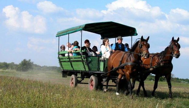 Excursão a Puszta e espetáculo equestre - Foto 2