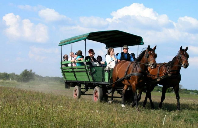Excursion à la Puszta et spectacle équestre - Photo 2