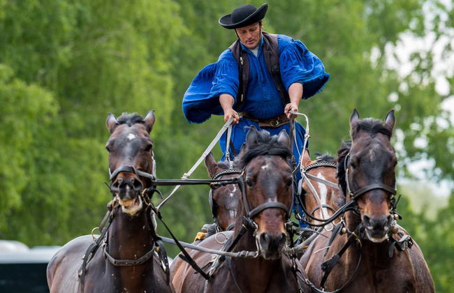 Excursion à la Puszta et spectacle équestre - Photo 7