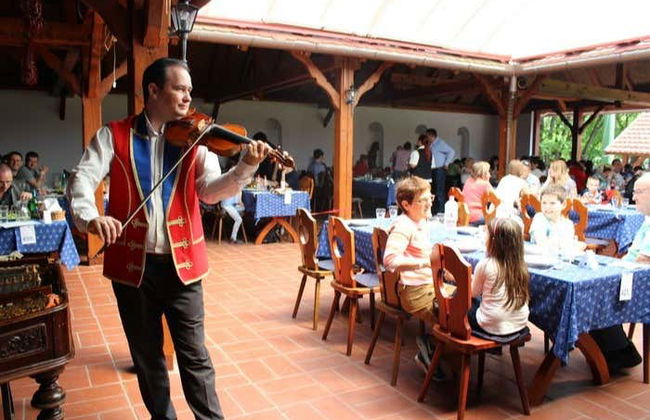 Excursion à la Puszta et spectacle équestre - Photo 6