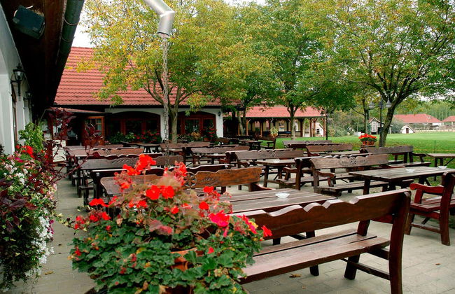 Excursion à la Puszta et spectacle équestre - Photo 4