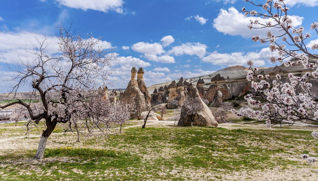Cappadocia One Day Trip by Plane - Photo 4