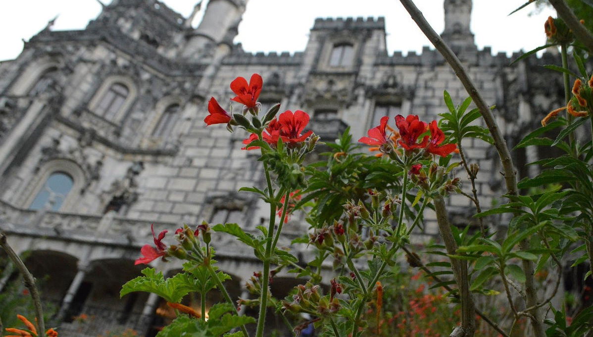 Excursión a Sintra y Cascais + Quinta da Regaleira - NO DA DISPO CIVITATIS - Foto 1