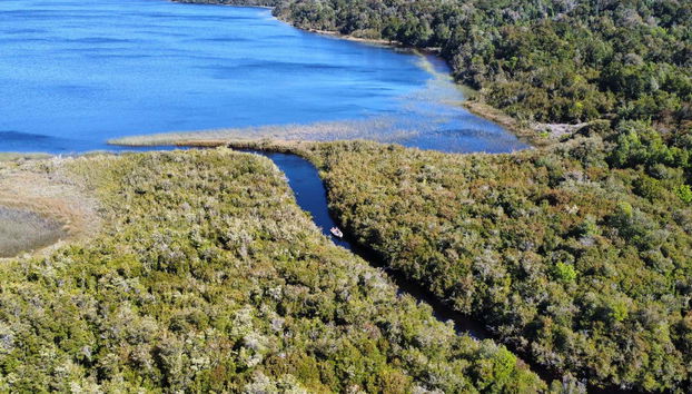 Giro in barca sul lago Tepuhueico - Foto 5