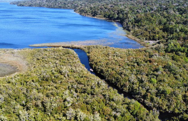 Giro in barca sul lago Tepuhueico - Foto 5
