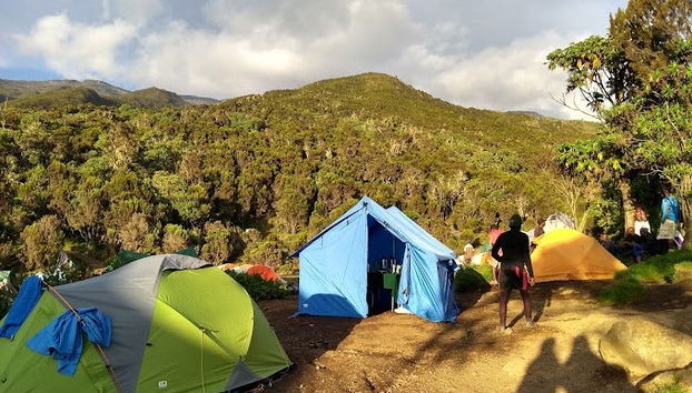 Ruta Machame de 9 días por el Kilimanjaro - Foto 3