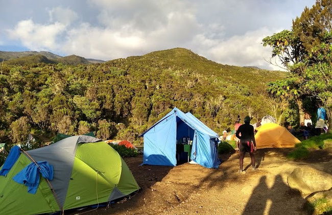 Ruta Machame de 9 días por el Kilimanjaro - Foto 3