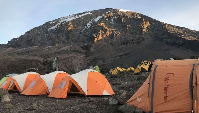 Ruta Machame de 9 días por el Kilimanjaro - Foto 1