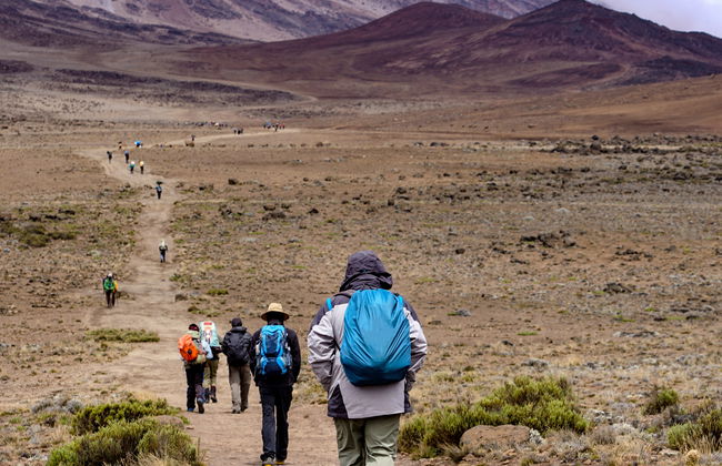 Ruta Machame de 9 días por el Kilimanjaro - Foto 5