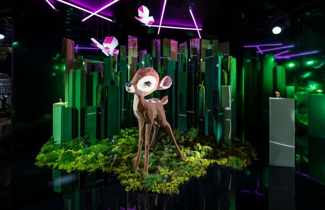 Visita guiada por la Casa Swarovski - Foto 6