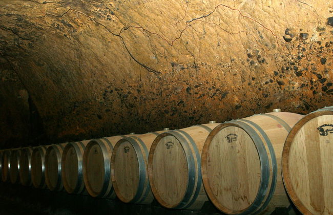 Excursión a Biblos + Bodegas Ixsir y Chateau Musar - Foto 2