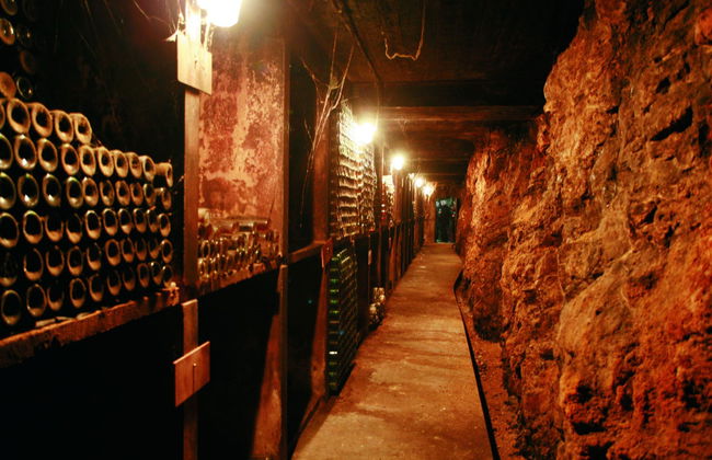 Excursión a Biblos + Bodegas Ixsir y Chateau Musar - Foto 4