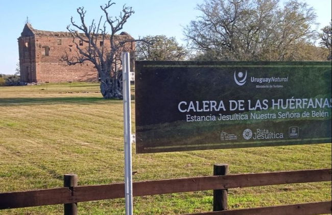 Excursão privada a Carmelo + Visita a duas vinícolas - Foto 2