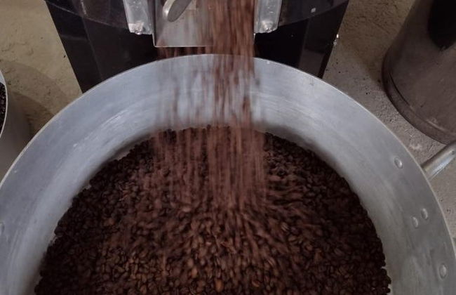 Organic Coffee Farm Tour - Photo 2