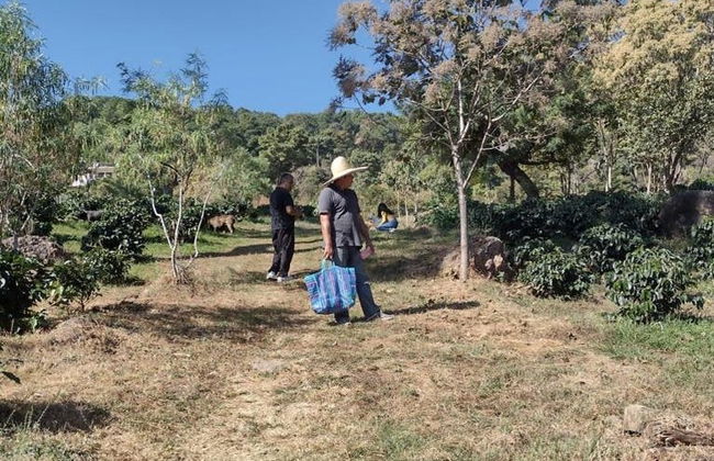 Organic Coffee Farm Tour - Photo 4