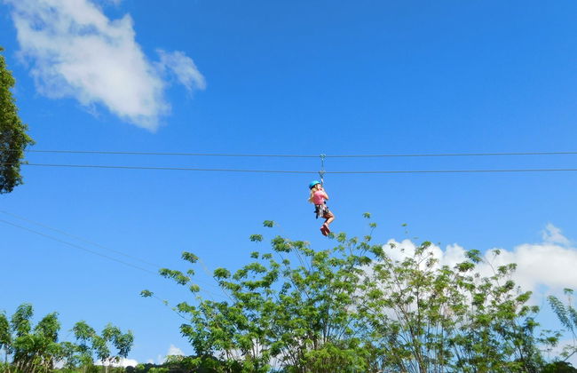 Tirolina en Puerto Plata para cruceros - Foto 2