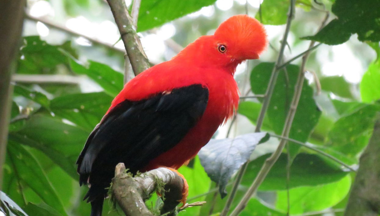 Birdwatching nella riserva Santa Rita - Foto 1