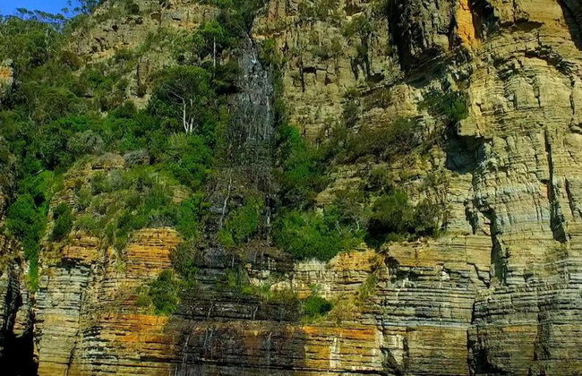 Crucero por la naturaleza salvaje de Tasman Island - Desde Port Arthur - Foto 5