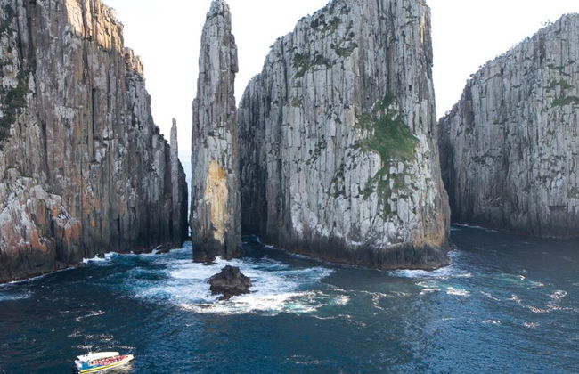 Crucero por la naturaleza salvaje de Tasman Island - Desde Port Arthur - Foto 3