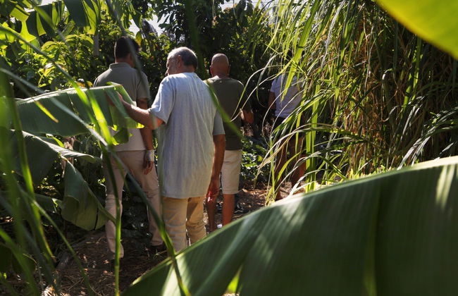 Aloe Vera Farm Tour - Photo 8
