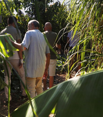 Foto de Visita a una plantación de aloe vera, olivos y permacultura