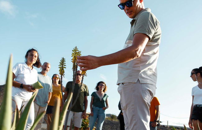 Aloe Vera Farm Tour - Photo 13