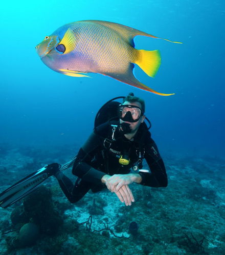 Foto de Buceo en Puerto Morelos
