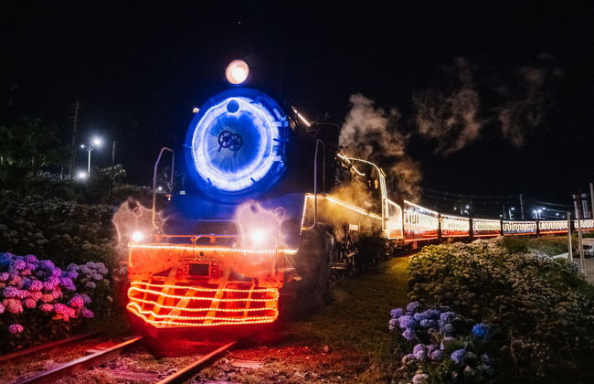Treno natalizio Maria Fumaça + Epopeia Italiana - Foto 9