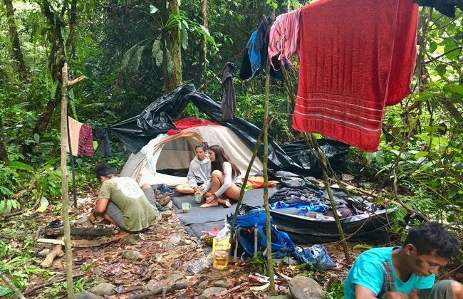 Avistamiento de orangutanes en Gunung Leuser en 3 o 4 días - Foto 6