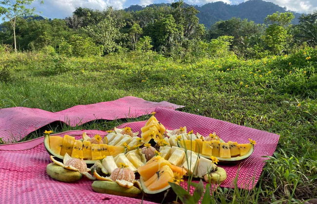 Avistamiento de orangutanes en Gunung Leuser en 3 o 4 días - Foto 13