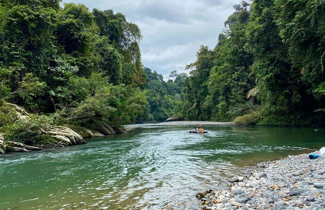 Avistamiento de orangutanes en Gunung Leuser en 3 o 4 días - Foto 15