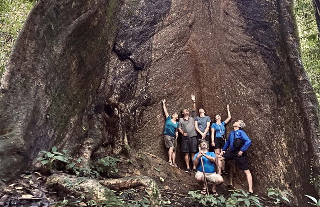 Avistamiento de orangutanes en Gunung Leuser en 3 o 4 días - Foto 1