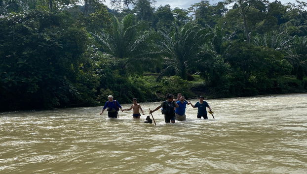 Avistamiento de orangutanes en Gunung Leuser en 3 o 4 días - Foto 3