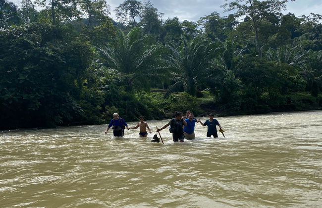 Avistamiento de orangutanes en Gunung Leuser en 3 o 4 días - Foto 3