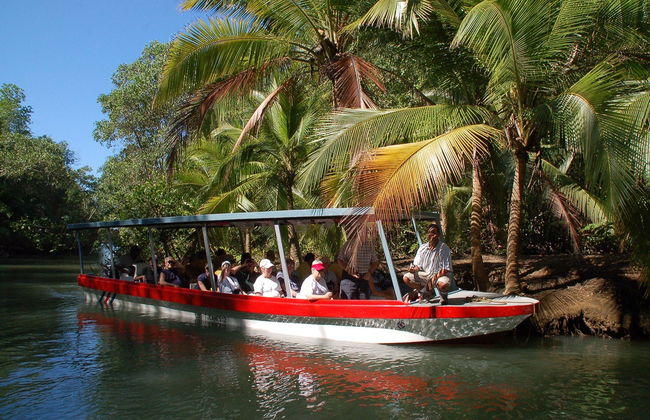 Balade en bateau sur l'île de Damas - Photo 3