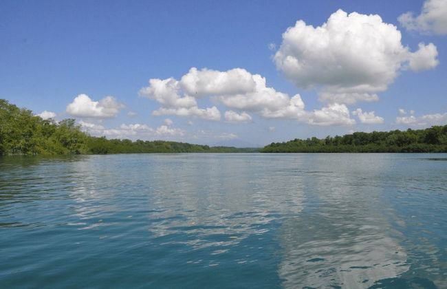 Balade en bateau sur l'île de Damas - Photo 7