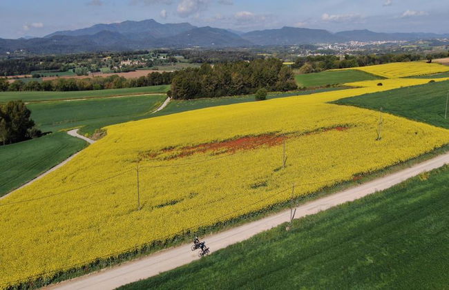 Descubre los pueblos medievales en bicicleta - Tour desde Palafrugell - Foto 4