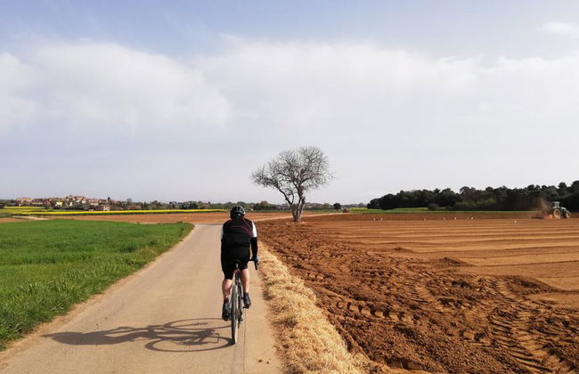 Descubre los pueblos medievales en bicicleta - Tour desde Palafrugell - Foto 7