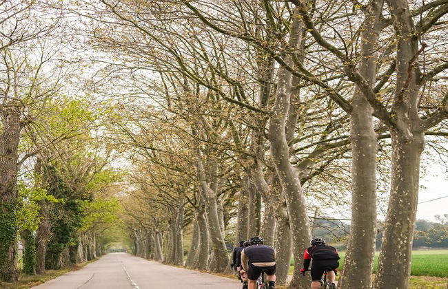 Découvrez les villages médiévaux à vélo au départ de Palafrugell - Photo 3